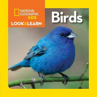 Look and Learn: Birds -  