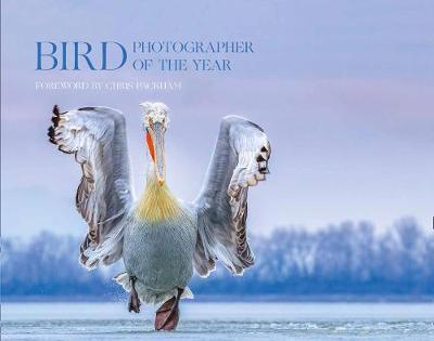 Bird Photographer of the Year -  Bird Photographer of the Year