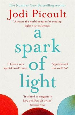 Spark of Light - Jodi Picoult
