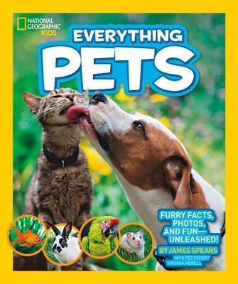 Everything Pets -  