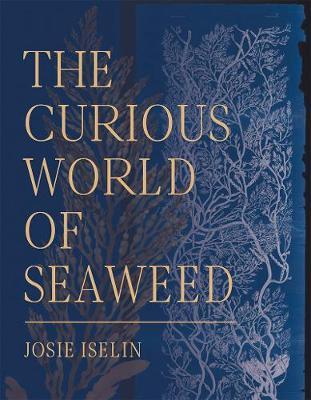 Curious World of Seaweed - Jose Iselin