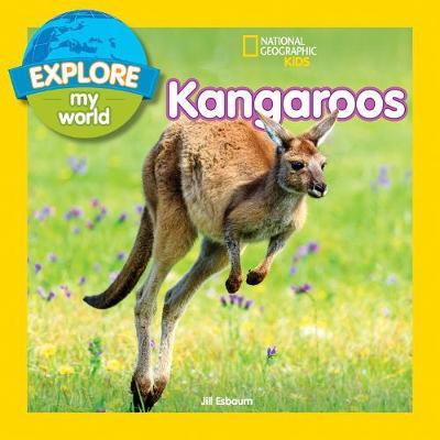 Explore My World: Kangaroos -  