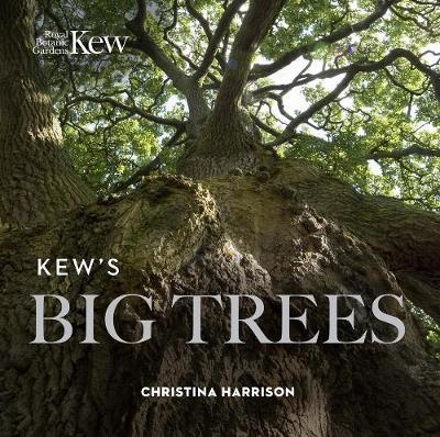 Kew's Big Trees - Christina Harrison