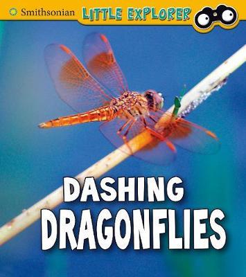 Dashing Dragonflies - Megan Cooley Peterson