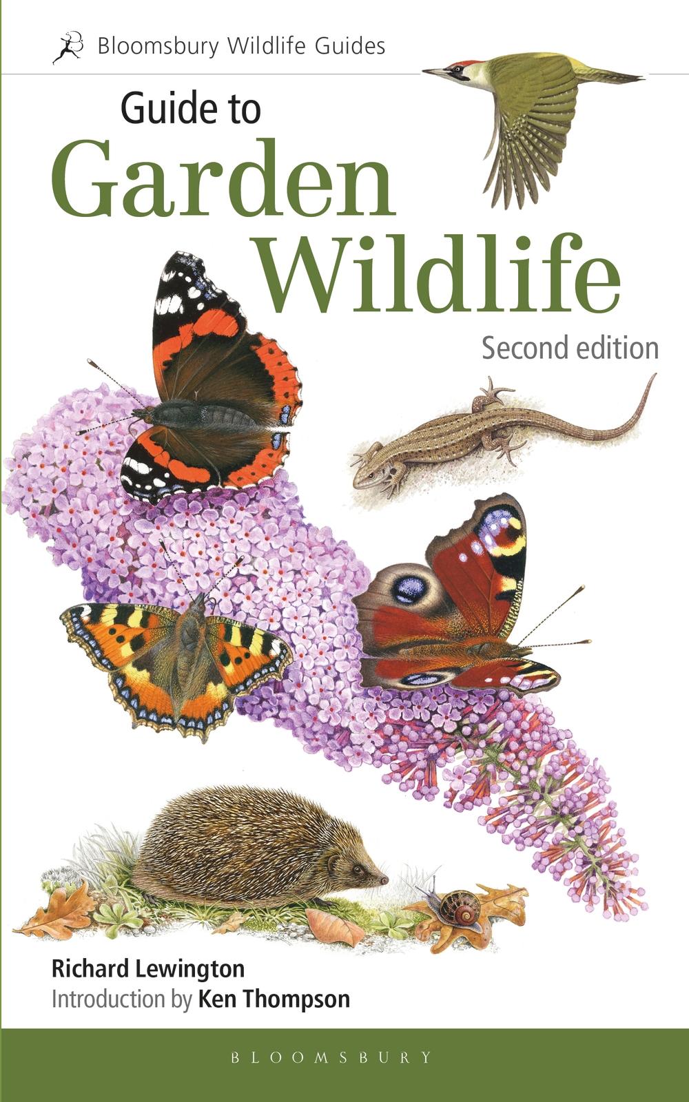 Guide to Garden Wildlife 2nd edition - Richard Lewington