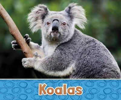 Koalas - Sara Louise Kras