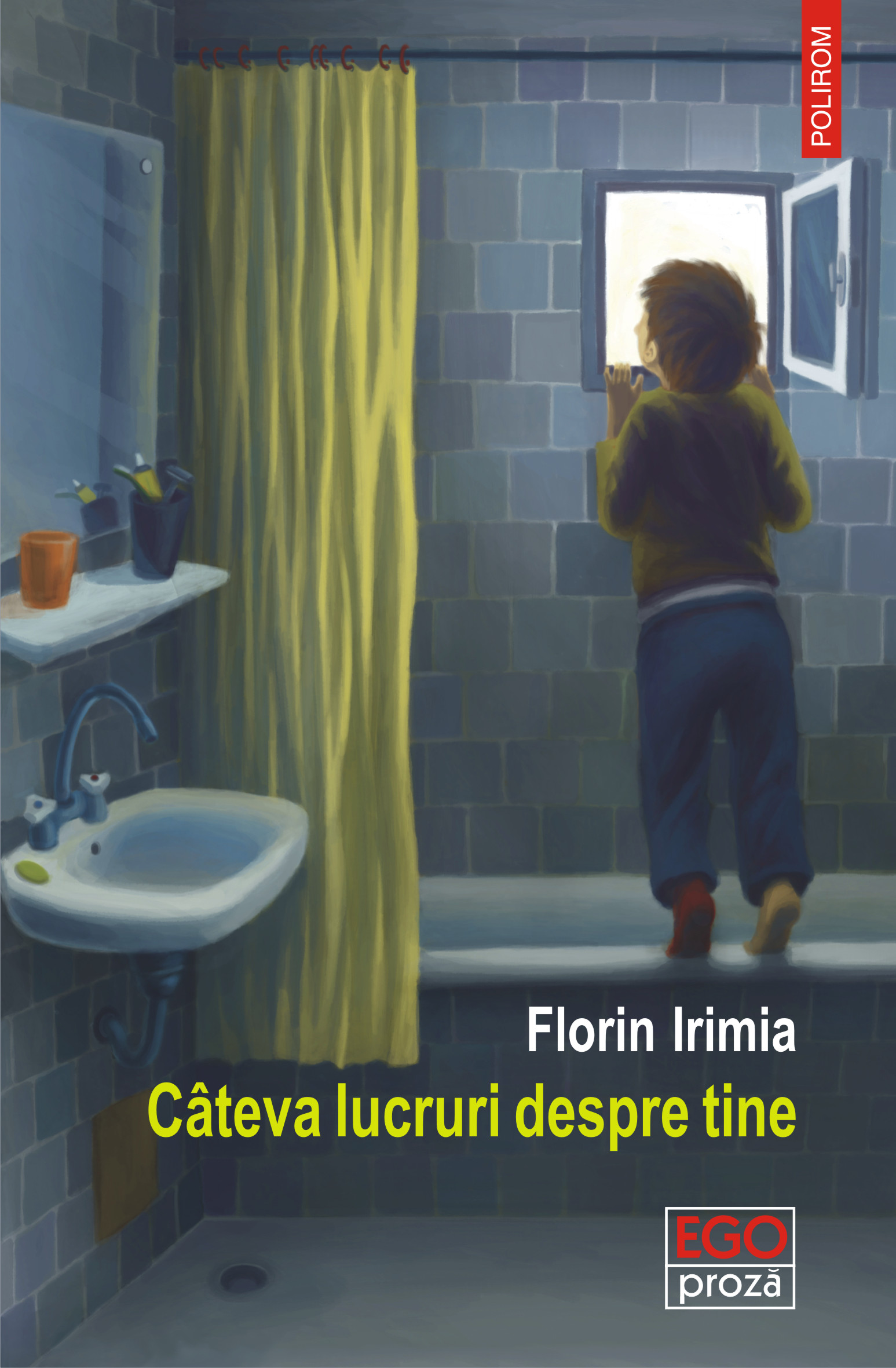 eBook Cateva lucruri despre tine - Florin Irimia