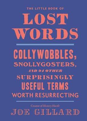Little Book of Lost Words - Joe Gillard
