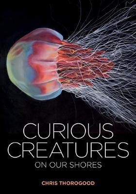 Curious Creatures on our Shores - Chris Thorogood