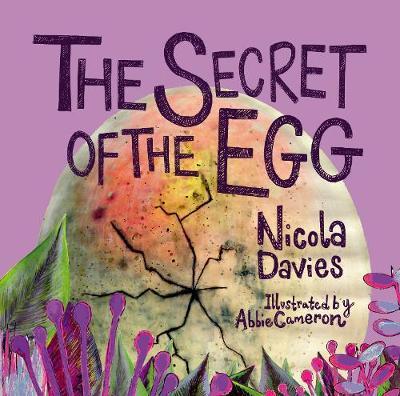 Secret of the Egg - Nicola Davies