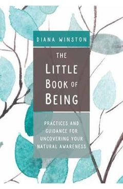 Coperta cărții 'Little Book of Being - Diana Winston'