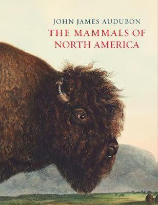 Mammals of North America - John James Audubon