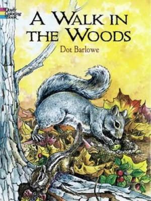 Walk in the Woods Coloring Book - Dorothea Barlowe