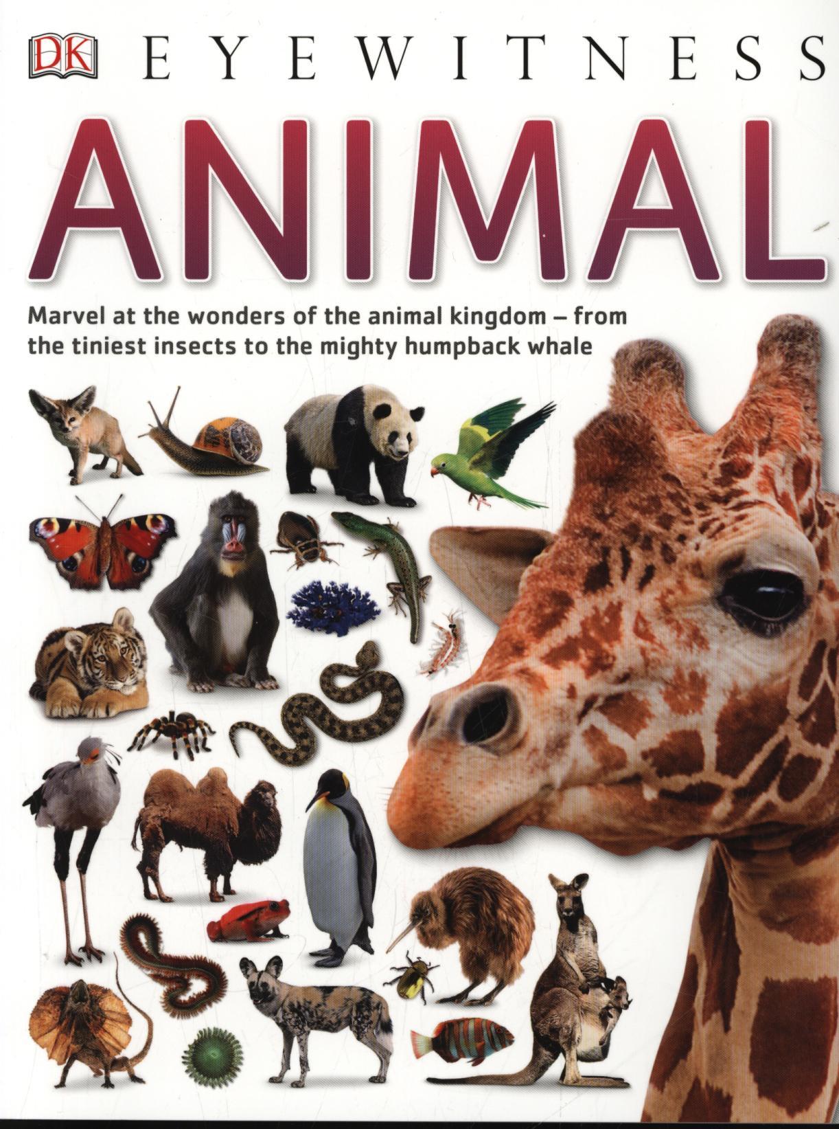 Animal -  