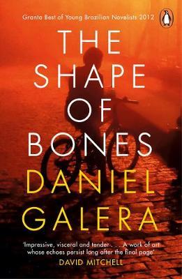 Shape of Bones - Daniel Galera
