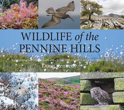 Wildlife of the Pennine Hills - Doug Kennedy