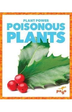 Poza produsului Being Optimistic - Mari Schuh