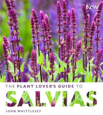 Plant Lover's Guide to Salvias