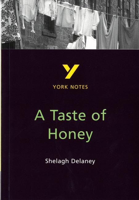 York Notes on Shelagh Delaney's Taste of Honey