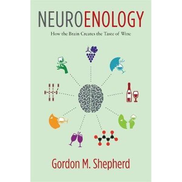 Neuroenology
