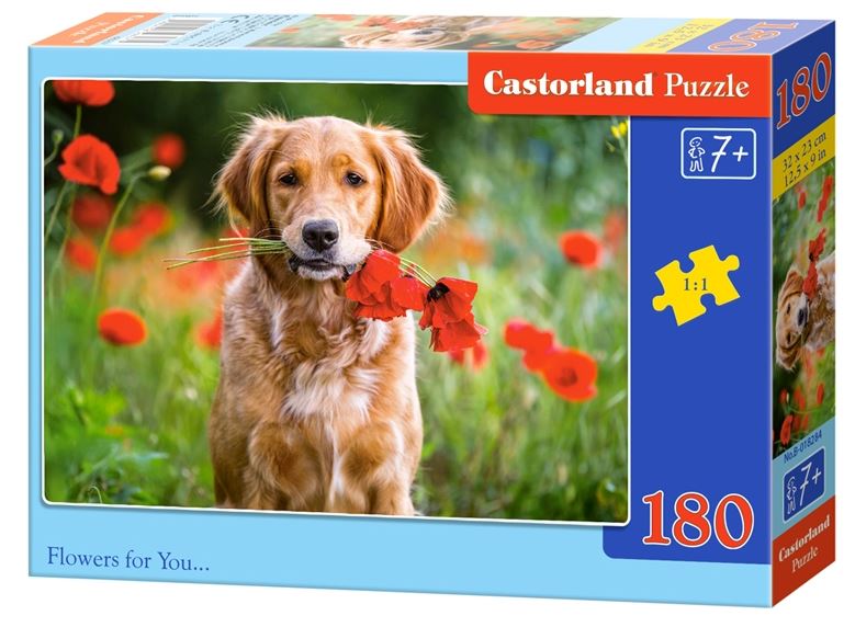 Puzzle 180 Castorland - Flowers for You