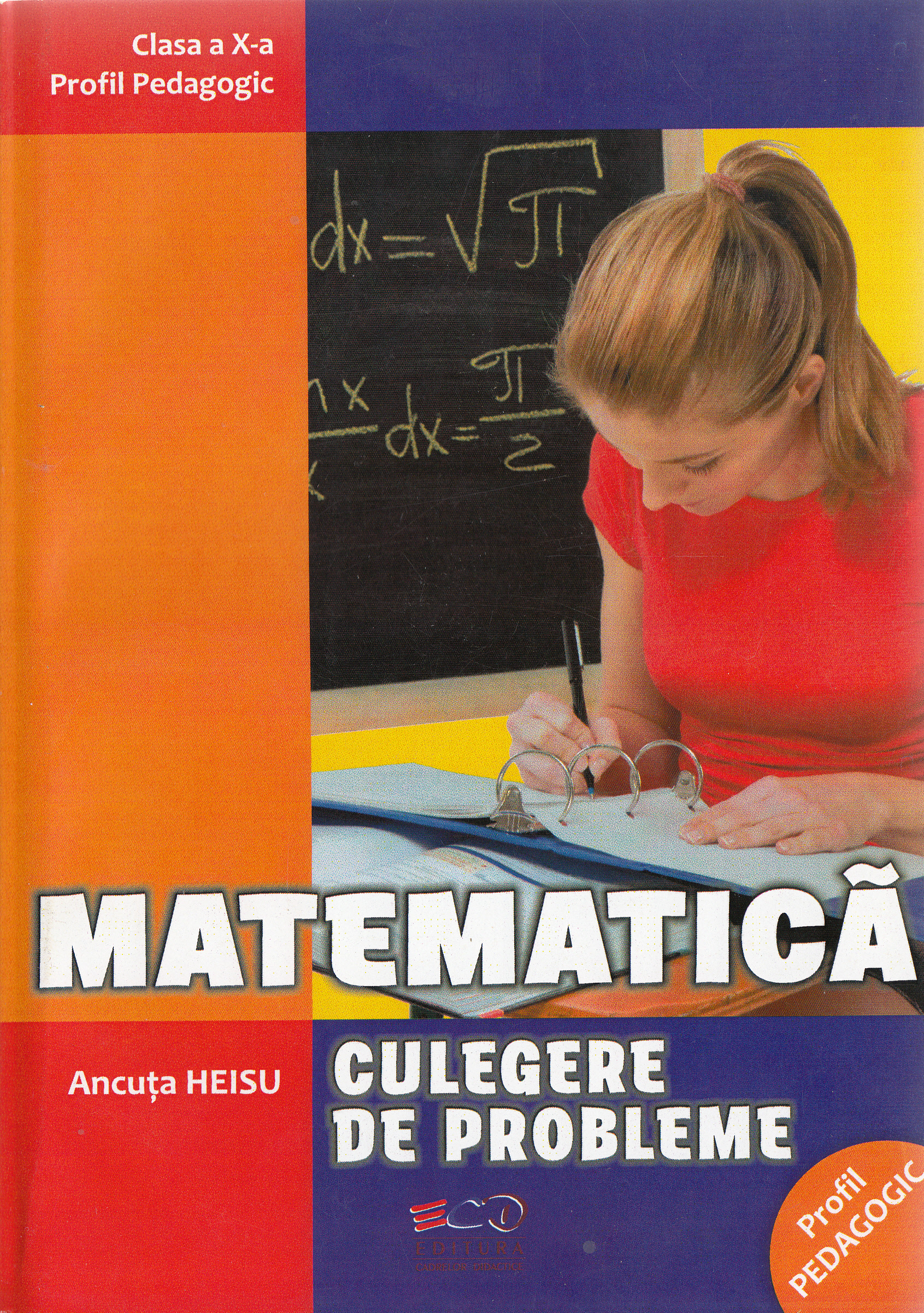 Matematica - Clasa a 10-a - Culegere de probleme - Ancuta Heisu