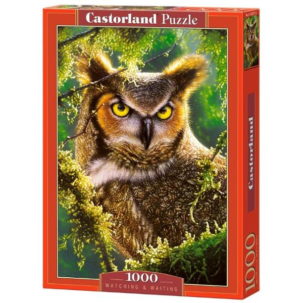 Puzzle 1000 - Watching and Waiting