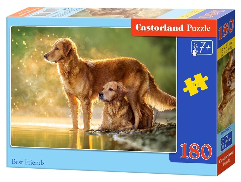 Puzzle 180 - Best Friends