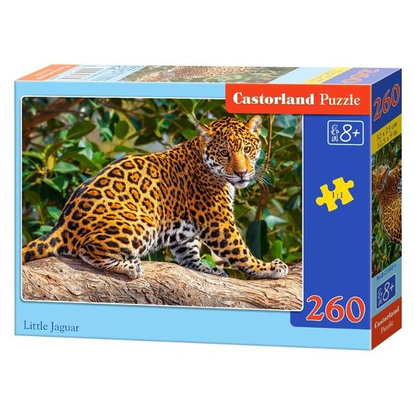 Puzzle 260 - Little Jaguar