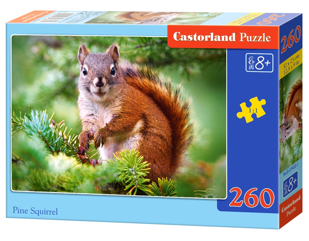 Puzzle 260 - Pine Squirrel