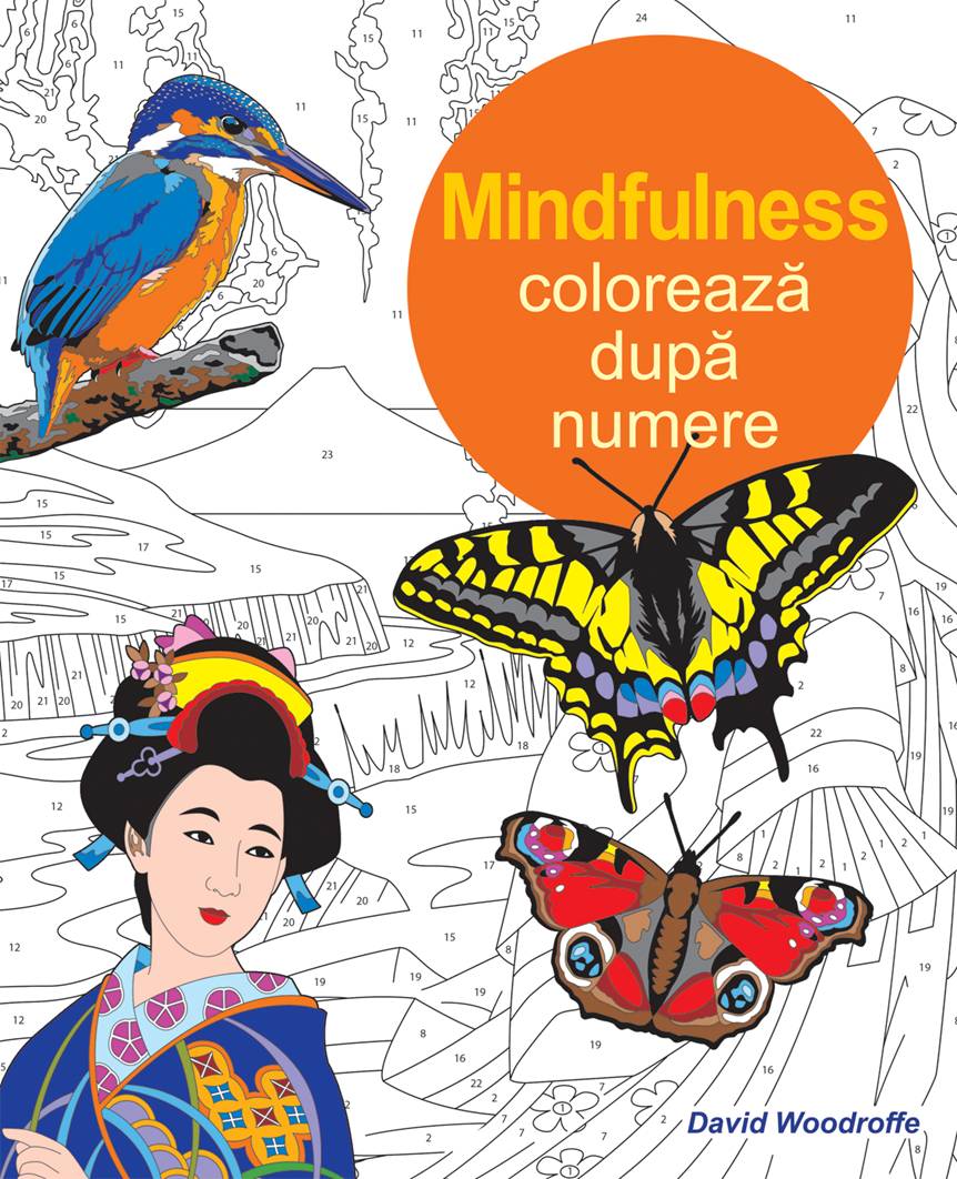 Mindfulness: Coloreaza dupa numere