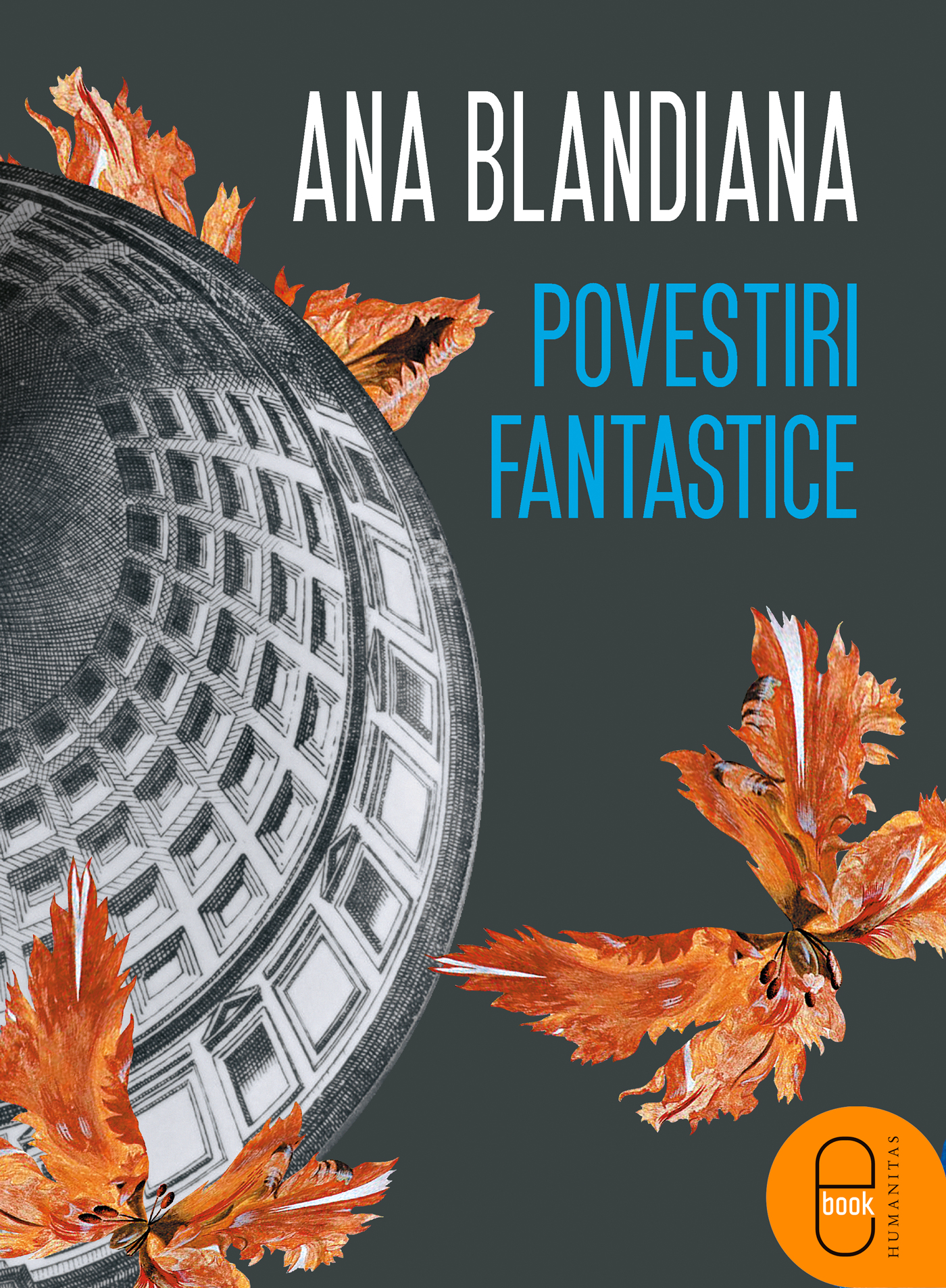 eBook Povestiri fantastice - Ana Blandiana