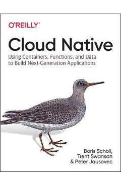 Poza produsului Cloud Native - Boris Scholl