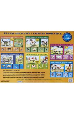 Planse: Animale domestice