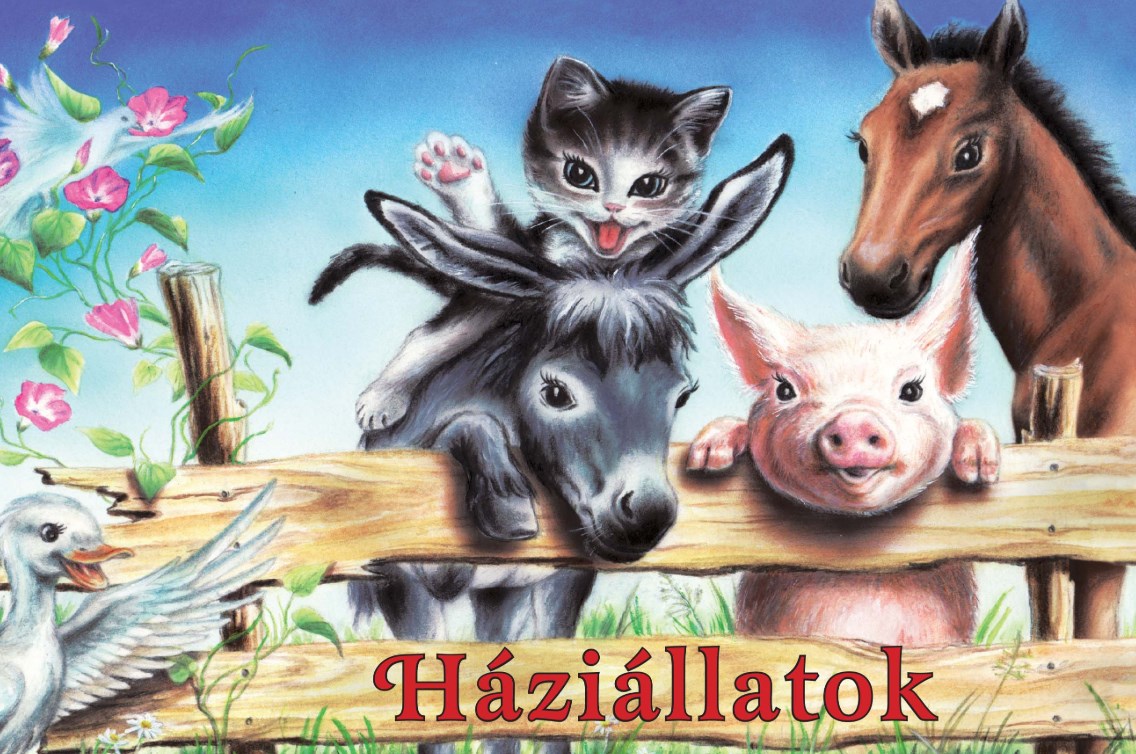 Haziallatok (animale Domestice)