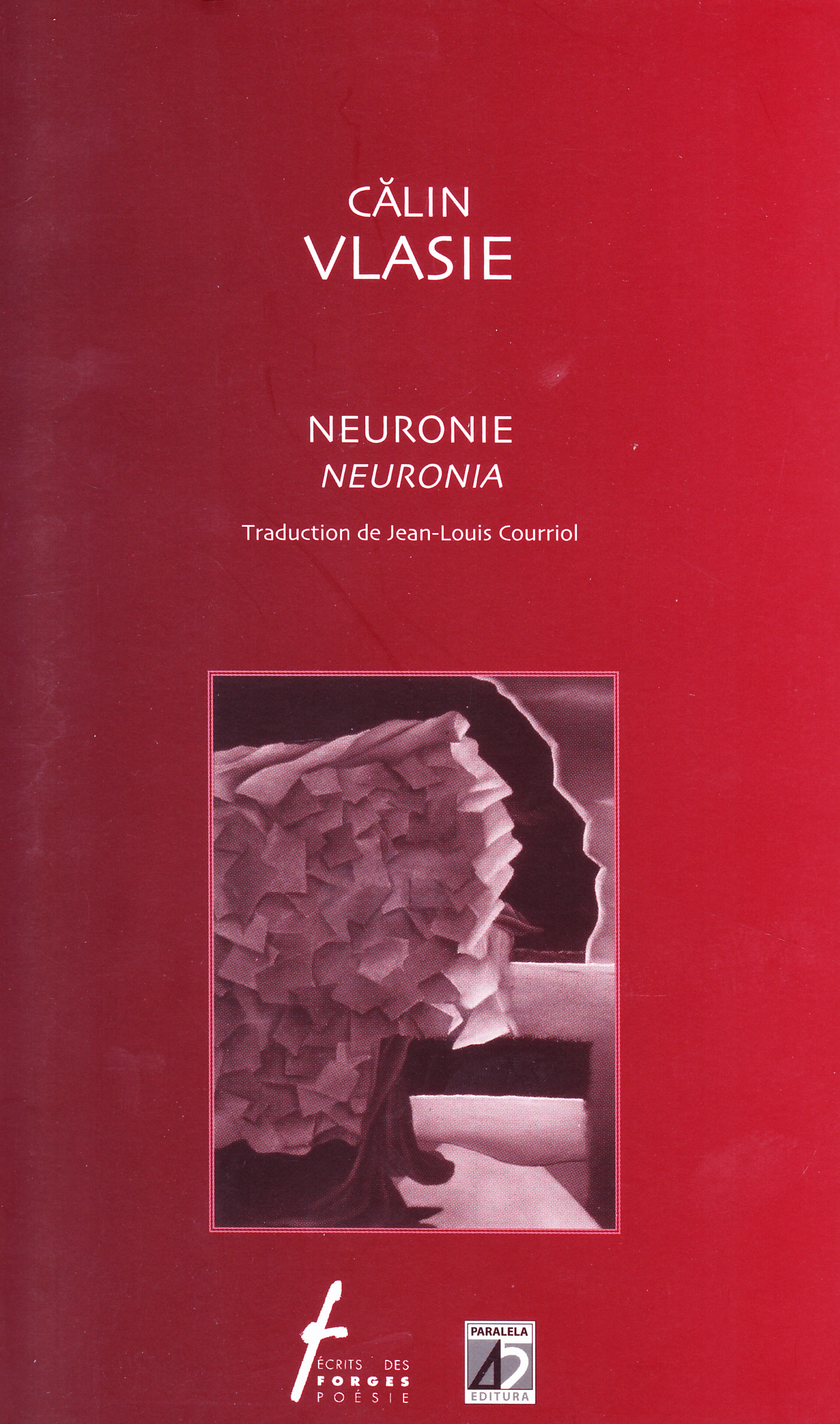 Neuronie - Calin Vlasie