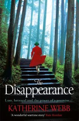 Disappearance - Katherine Webb