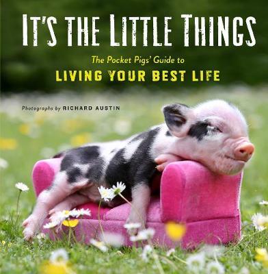its the Little Things Pocket Pigs Guide to Living Your Best - Richard Austin