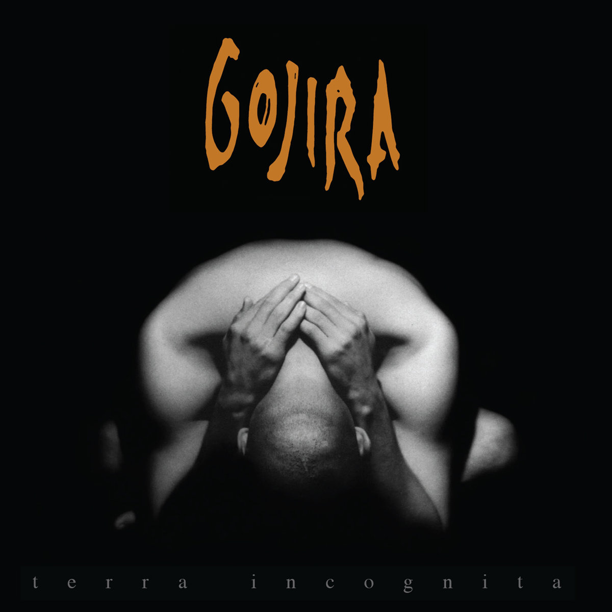 CD Gojira - Terra Incognita