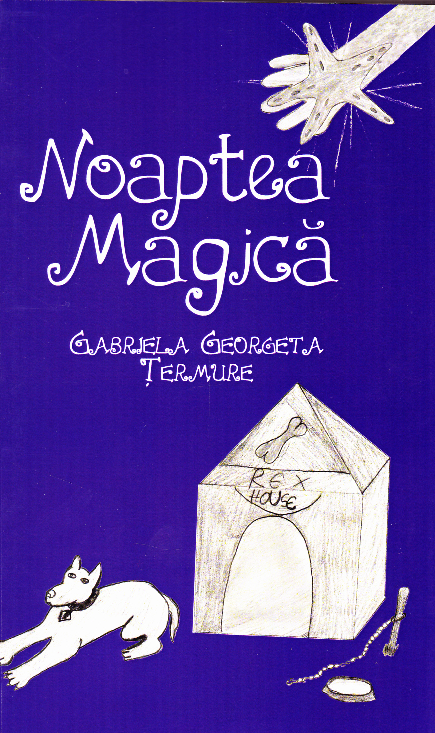 Noaptea magica - Gabriela Georgeta Termure