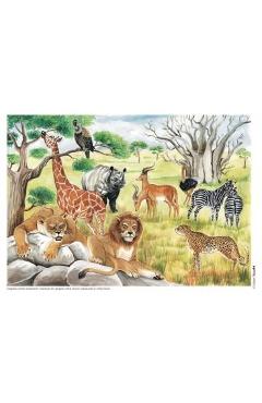 Poza produsului Vietuitoare si mediul lor de viata - Planse - Cerchez Adrian