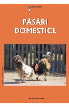 Coperta cărții Pasari domestice - Daniela Dosa