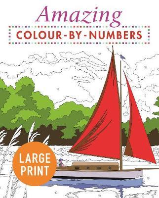 Amazing Colour-by-Numbers Large Print - Publishing Arcturus