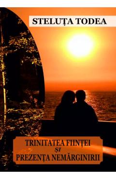 Poza produsului Trinitatea fiintei si prezenta nemarginirii - Steluta Todea