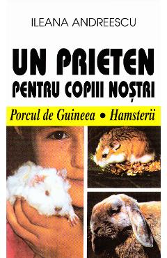 Poza produsului Un prieten pentru copiii nostri - Ileana Andreescu