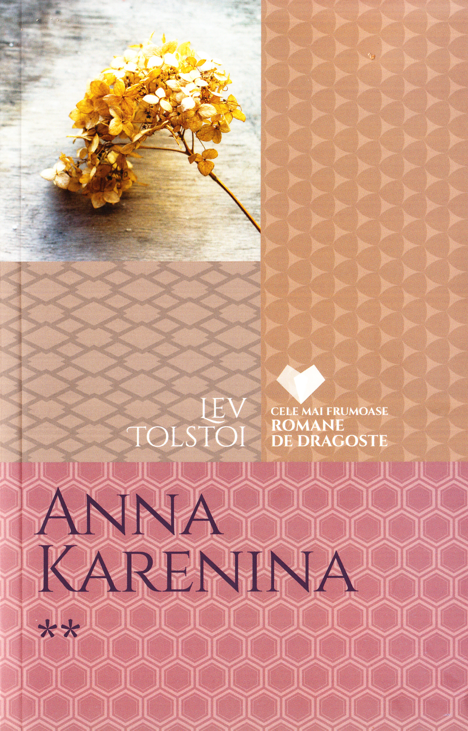 Anna Karenina. Vol 2 -  Lev Tolstoi