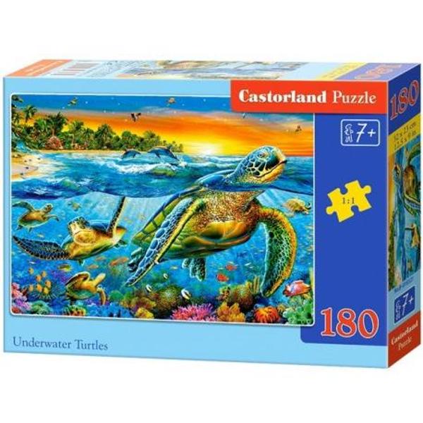 Puzzle 180. Underwater Turtles