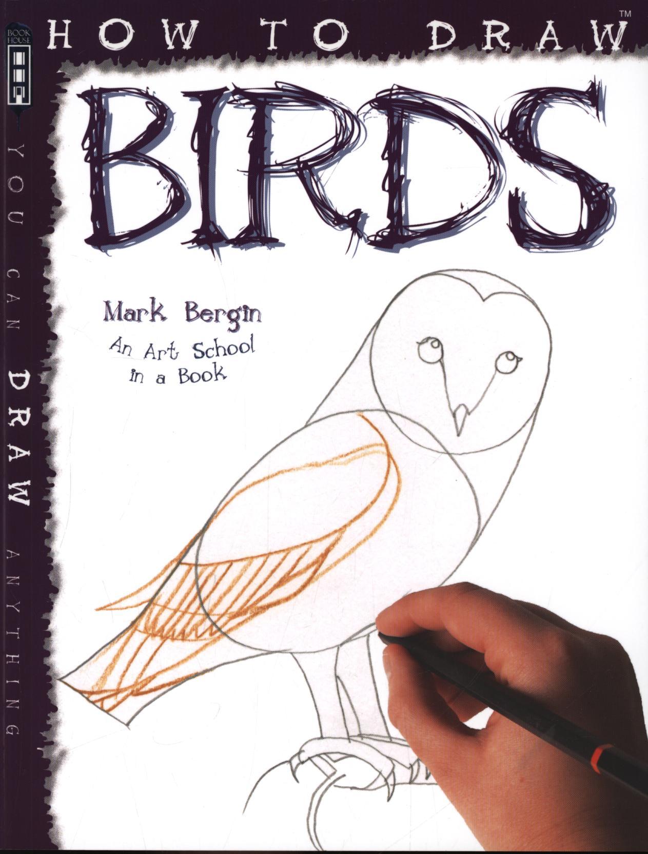 How To Draw Birds - Mark Bergin