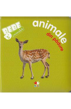 Coperta cărții 'Bebe invata - Animale din padure'