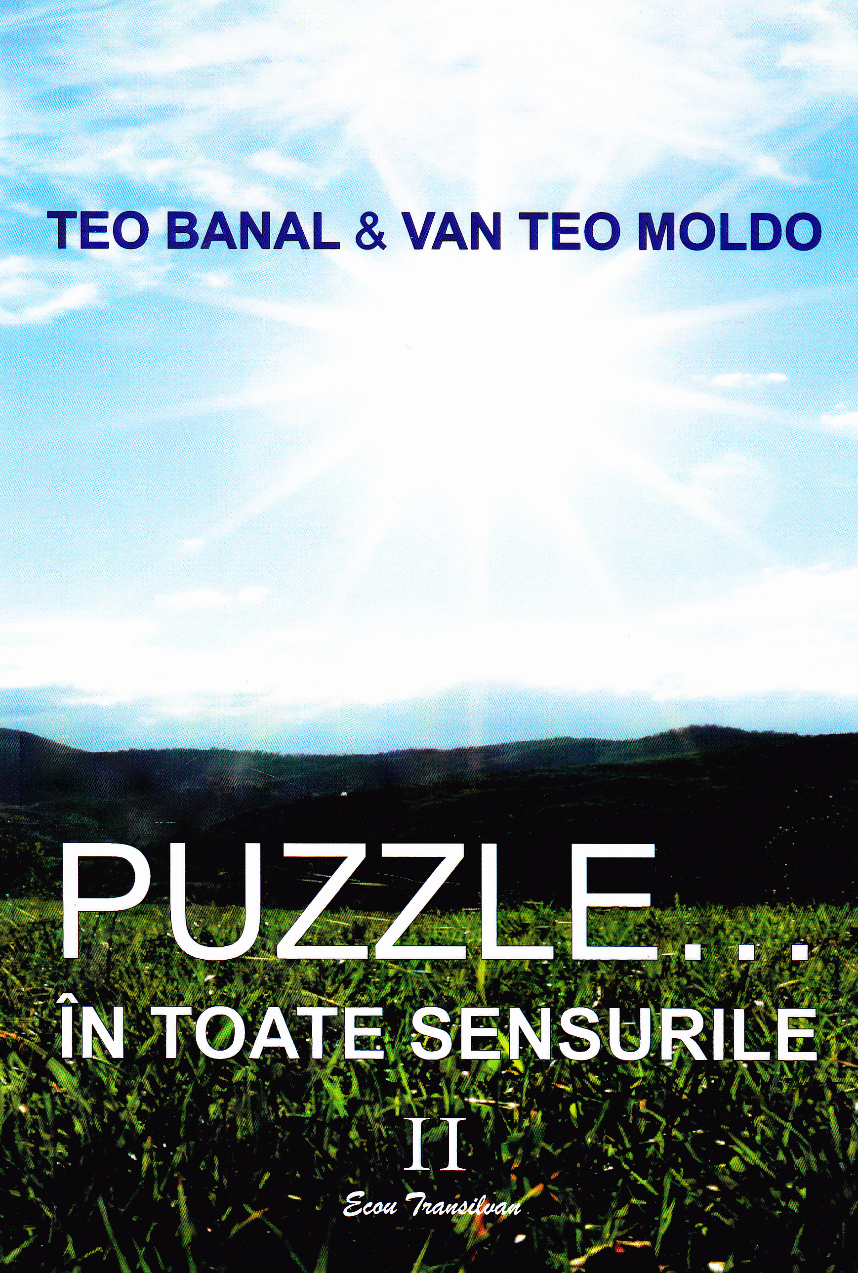 Puzzle... In toate sensurile vol.2 - Teo Banal, Van Teo Moldo